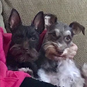 Meet your Posher, Janice